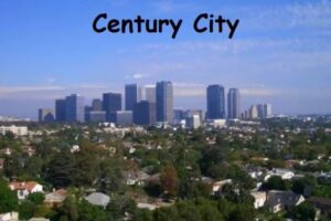 Movers Century City Moving Company